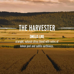 The Brick pH Balanced Soap Bar - The Harvester
