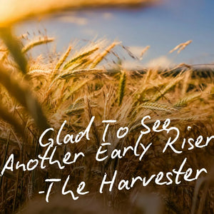 The Brick pH Balanced Soap Bar - The Harvester