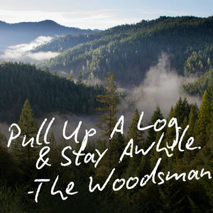 The Brick pH Balanced Soap Bar - The Woodsman